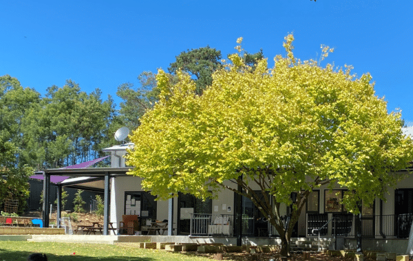 Exterior of Mountain Community Children’s Centre in Mangrove Mountain, surrounded by trees.