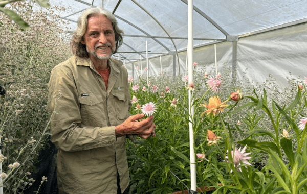 Craig Scott at East Coast Wildflowers in Mangrove Mountain